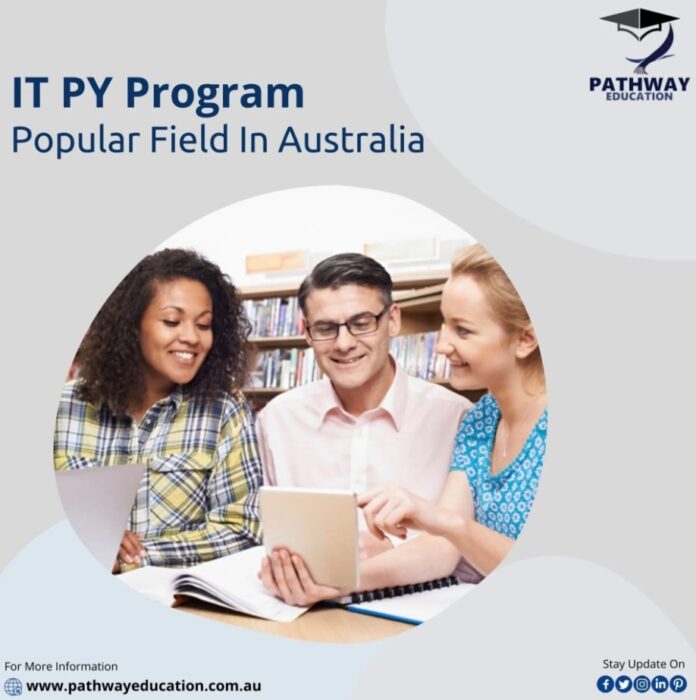 Professional IT PY Professional Program Popular Field